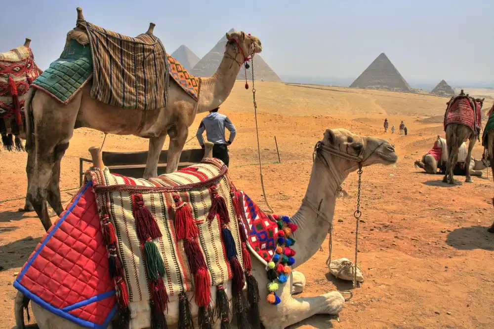 Wonders of Egypt